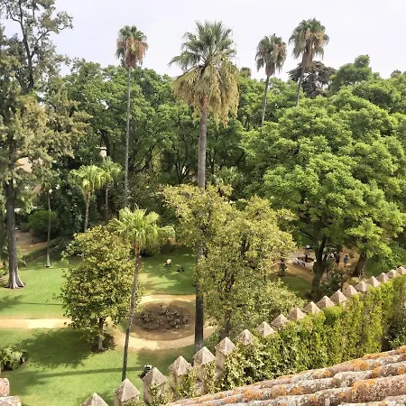 아파트 La Casa De San Fernando Con Vistas A Reales Alcazares 세비야